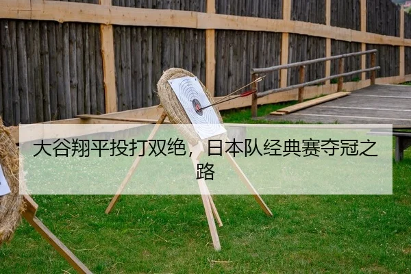 da-gu-xiang-ping-tou-da-shuang-jue-ri-ben-dui-jing-dian-sai-duo-guan-zhi-lu-2-164.jpg