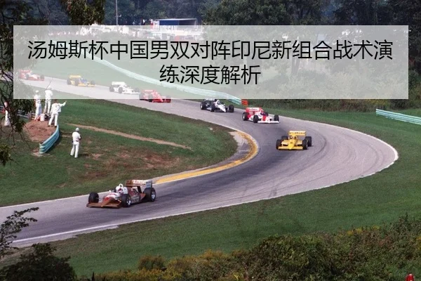 汤姆斯杯中国男双对阵印尼新组合战术演练深度解析